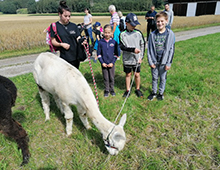 vdk_11